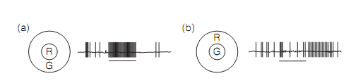 2468_Parallel processing in v1  1.png